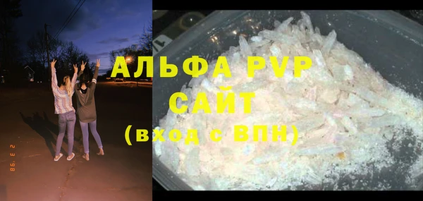 индика Гусиноозёрск