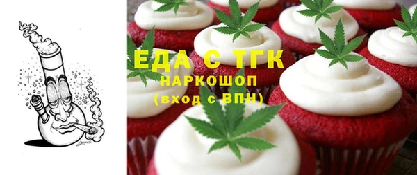 индика Гусиноозёрск