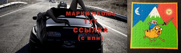 индика Гусиноозёрск