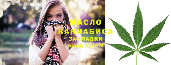 индика Гусиноозёрск
