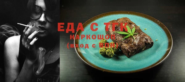 индика Гусиноозёрск