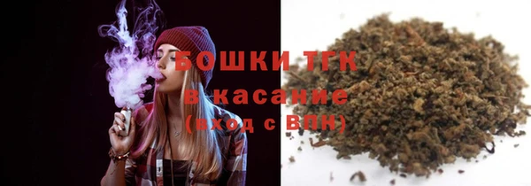 индика Гусиноозёрск