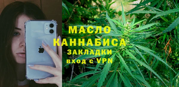 индика Гусиноозёрск