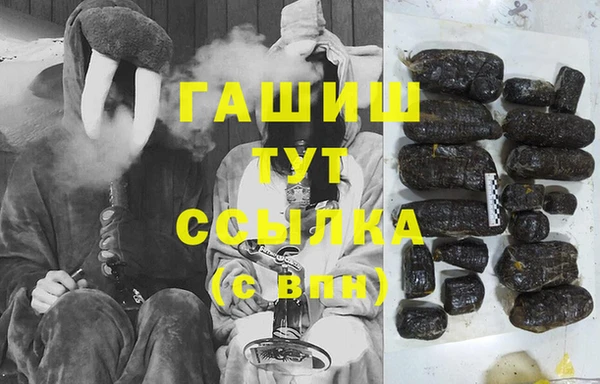 индика Гусиноозёрск