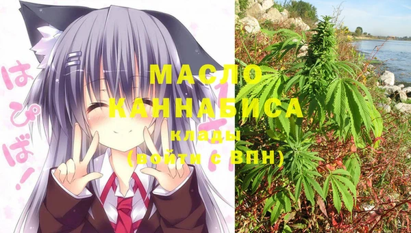 индика Гусиноозёрск