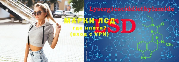 индика Гусиноозёрск