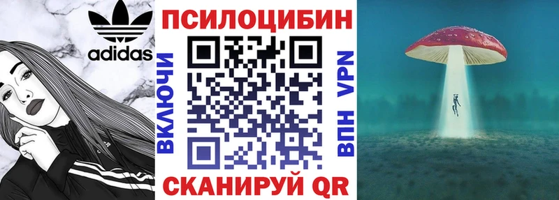Псилоцибиновые грибы Cubensis  Купить закладки  Мариинский Посад 