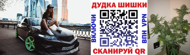 Купить где  Мариинский Посад  Бошки марихуана ГИДРОПОН 